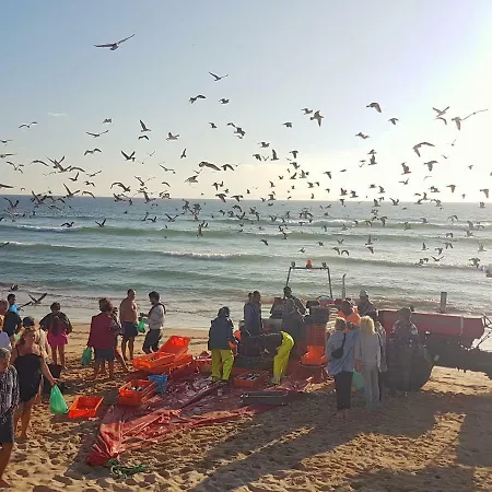 Lufi Surf Costa de Caparica